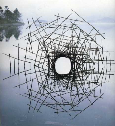 Bamboo in Japan, date unknown, © Andy Goldsworthy